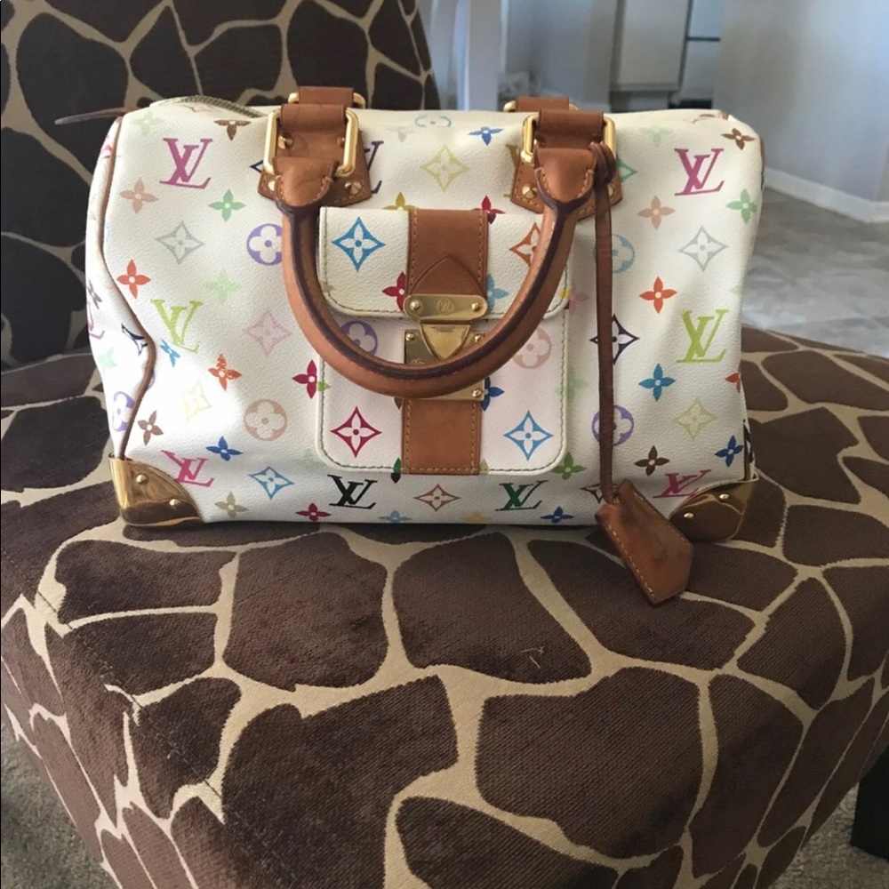Louis Vuitton speedy 30 multi color